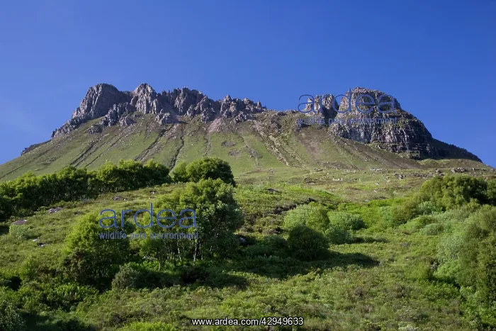 : Rugged sandstone outcrop of Stac Pollaidh : Rugged sandstone outcrop of Stac Pollaidh