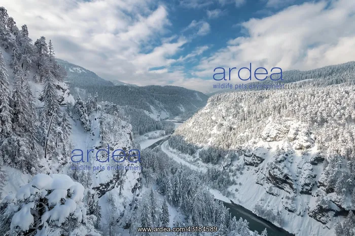 : Ruinaulta or Rhine Gorge, winter landscape, Anterior : Ruinaulta or Rhine Gorge, winter landscape, Anterior