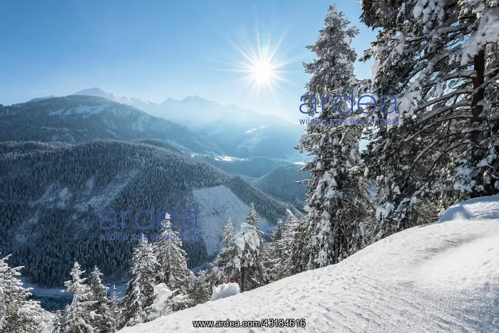 : Ruinaulta or Rhine Gorge, winter landscape, Anterior : Ruinaulta or Rhine Gorge, winter landscape, Anterior