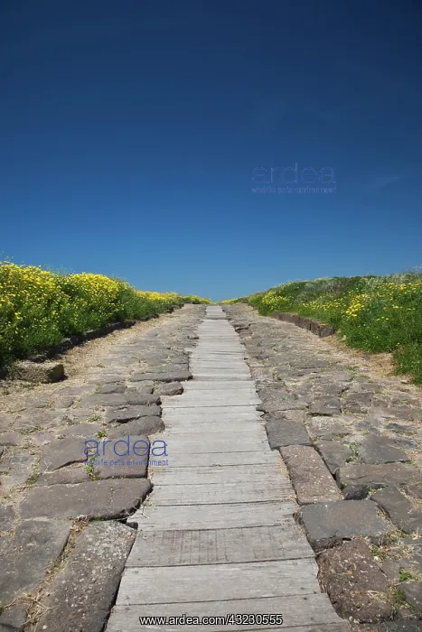 : Ruins of ancient Phoenician city, Cardus : Ruins of ancient Phoenician city, Cardus
