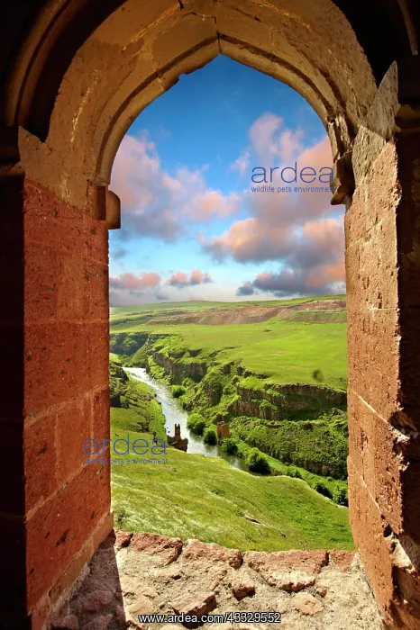: Ruins of a bridge on the ancient Silk Road in th : Ruins of a bridge on the ancient Silk Road in th
