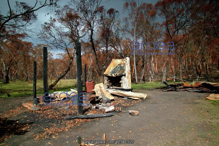  : Ruins of Buckwong Hut near Mount Murphy.after bushfire