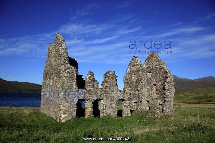  : Ruins of Calda House Loch Assynt, Scotland