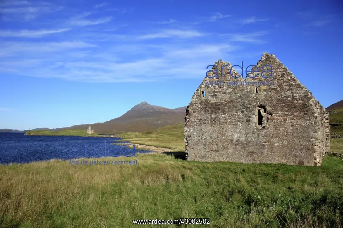  : Ruins of Calda House Loch Assynt, Scotland
