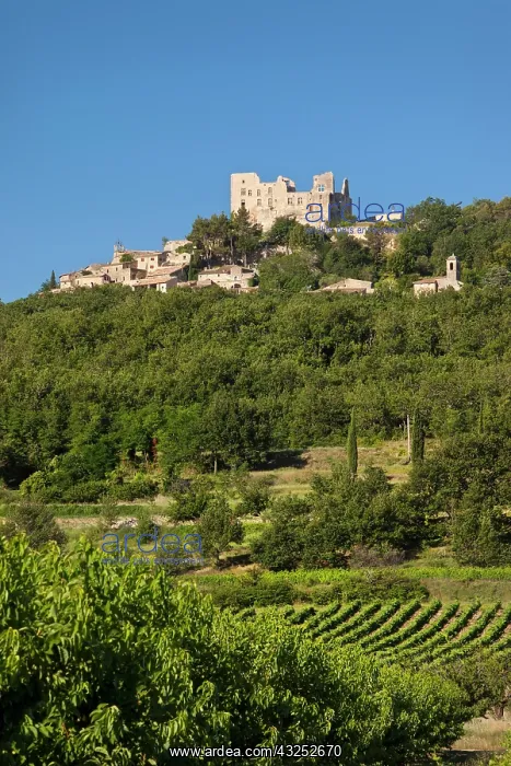: Ruins of Chateau Marquis de Sade above medieval : Ruins of Chateau Marquis de Sade above medieval