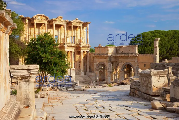 : Ruins of the Library of Celsus in ancient : Ruins of the Library of Celsus in ancient