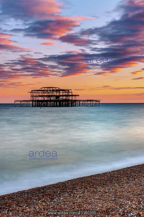 : The ruins of the old West Pier in Brighton, Engl : The ruins of the old West Pier in Brighton, Engl