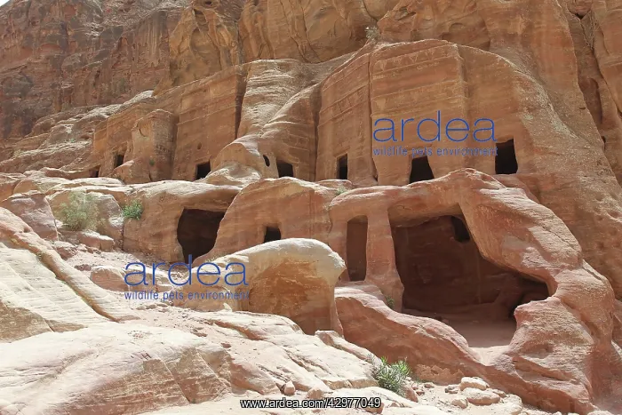  : Ruins - Petra
