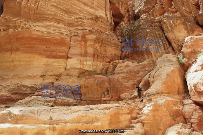  : Ruins - Petra - Jordan - with tourist