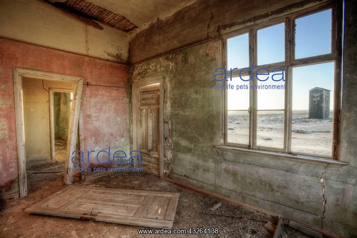 : Ruins of a residential building, ghost town Elizabeth : Ruins of a residential building, ghost town Elizabeth