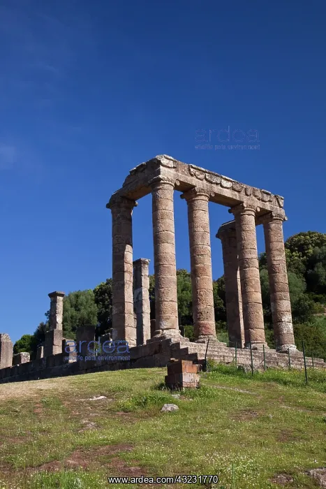 : Ruins of Roman Temple of Antas, Fluminimaggiore : Ruins of Roman Temple of Antas, Fluminimaggiore