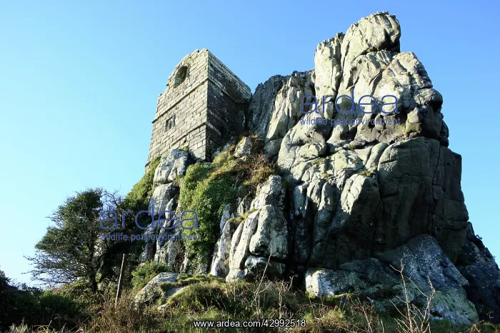 : Ruins of St Michaels Chapel : Ruins of St Michaels Chapel