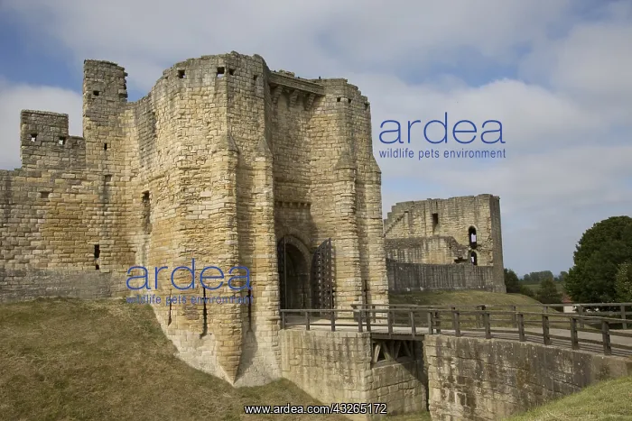 : Ruins of Wakrworth hilltop medieval castle, with : Ruins of Wakrworth hilltop medieval castle, with