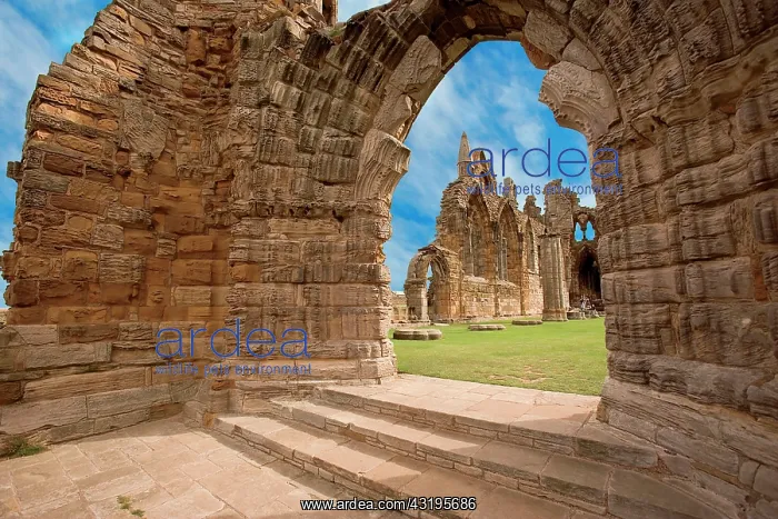 : The Ruins of Whitby Abbey above the town and harbor : The Ruins of Whitby Abbey above the town and harbor