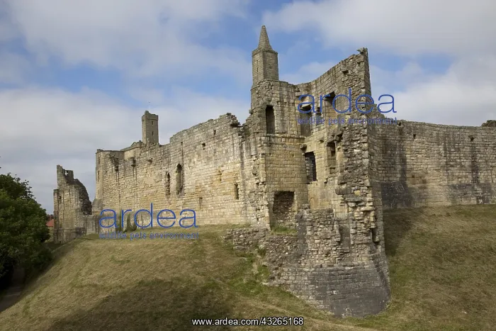 : Runins of Warkworth hilltop medieval castle, with : Runins of Warkworth hilltop medieval castle, with