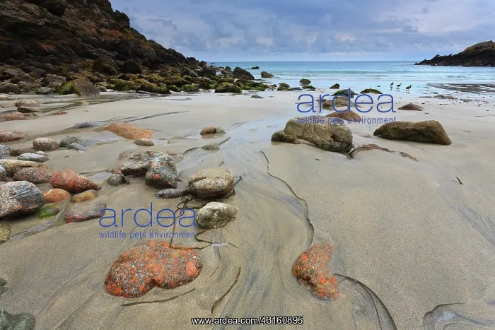 : Running water to sea between colored stones and rocks and th : Running water to sea between colored stones and rocks and th