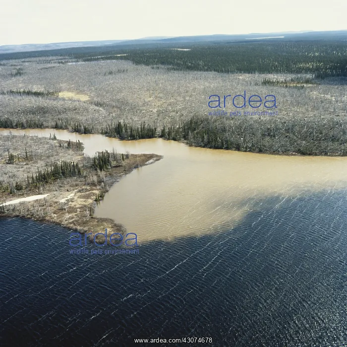 : Runoff From Iron Mine, Quebec : Runoff From Iron Mine, Quebec