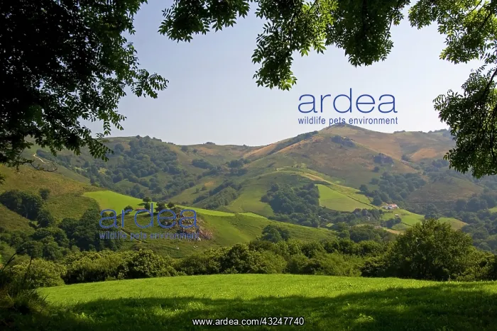 : Rural farmland and rolling hills in the : Rural farmland and rolling hills in the