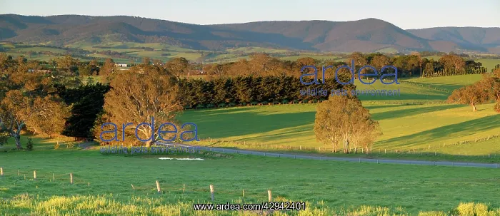  : Rural landscape with Kinglake National Park beyond