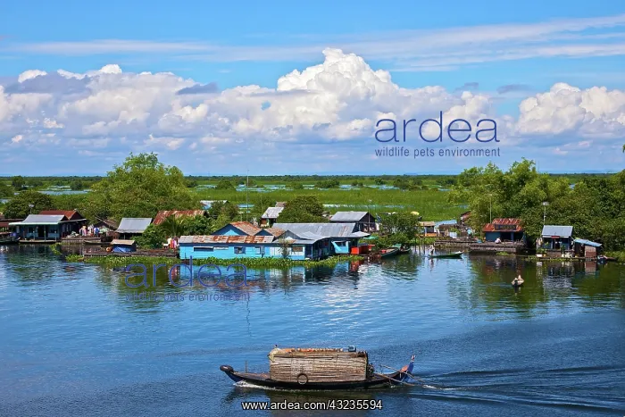 : Rural scene, Tonle Sap Lake, Siem Reap : Rural scene, Tonle Sap Lake, Siem Reap