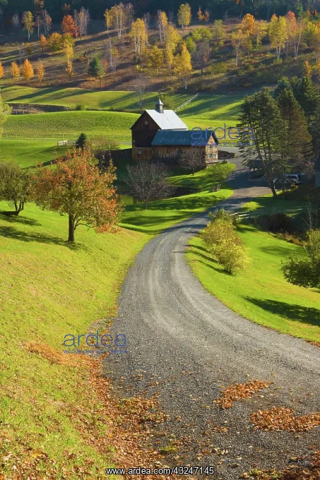 : A rural Vermont scene in Pomfret, Vermont : A rural Vermont scene in Pomfret, Vermont