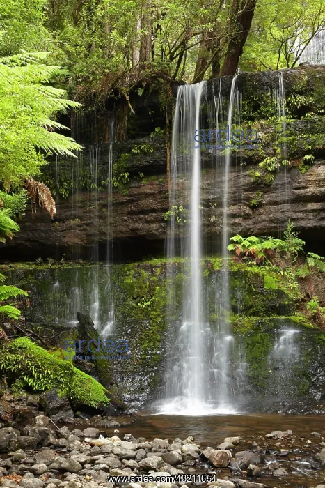  : Russell Falls, Mount Field National Park