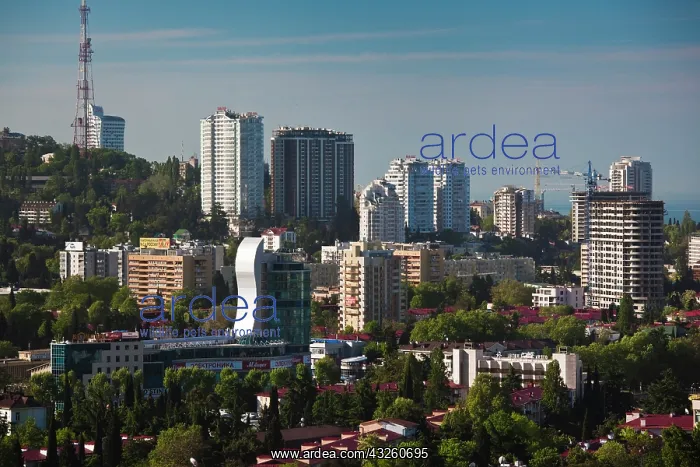 : Russia, Black Sea Coast, Sochi, elevated : Russia, Black Sea Coast, Sochi, elevated