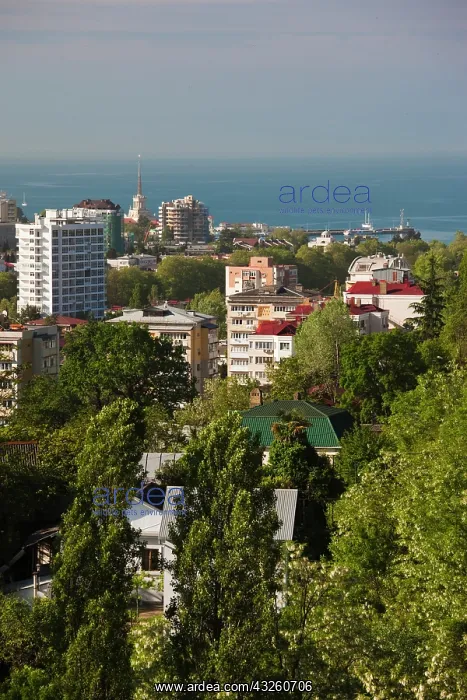 : Russia, Black Sea Coast, Sochi, elevated : Russia, Black Sea Coast, Sochi, elevated