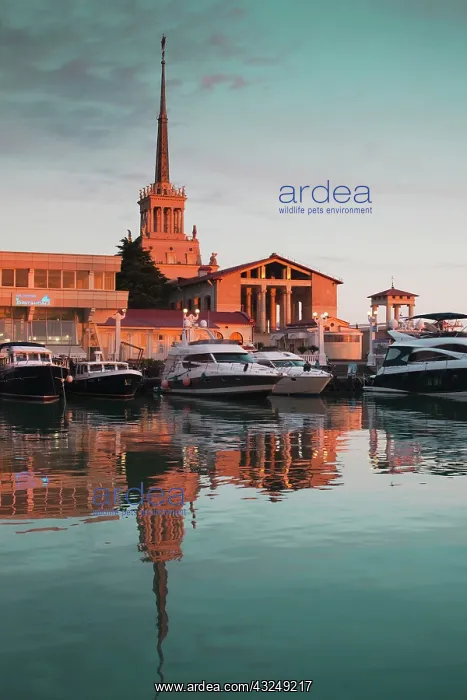 : Russia, Black Sea Coast, Sochi, Sea Terminal : Russia, Black Sea Coast, Sochi, Sea Terminal