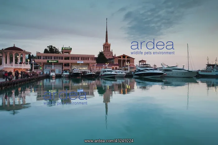 : Russia, Black Sea Coast, Sochi, Sea Terminal : Russia, Black Sea Coast, Sochi, Sea Terminal