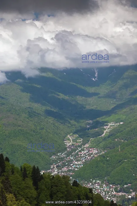 : Russia, Caucasus Mountains, Sochi Area : Russia, Caucasus Mountains, Sochi Area