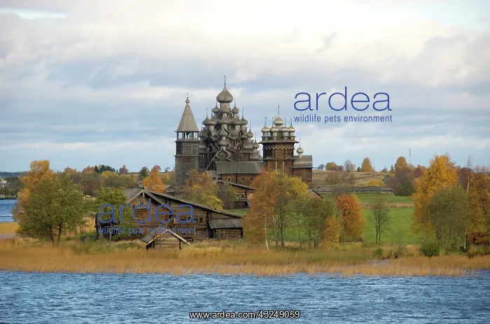  : Russia, Karelia, Kizhi Island, Transfiguration