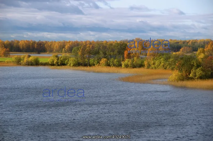: Russia, Karelia, Lake Onega shoreline, RESTRICTED: : Russia, Karelia, Lake Onega shoreline, RESTRICTED: