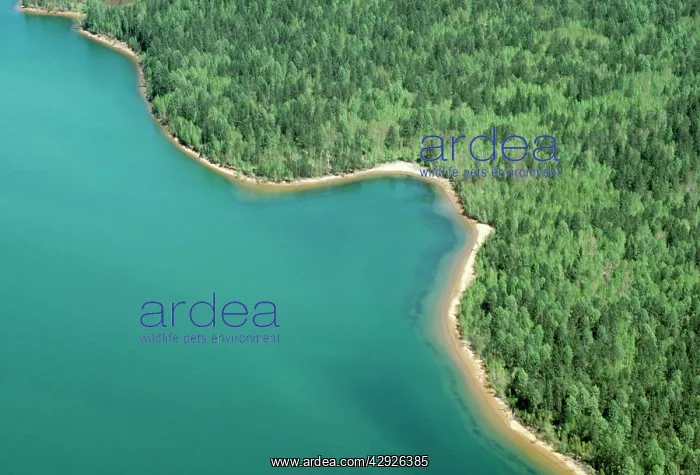 : Russia - Lake Baikal Wildlife Reserve : Russia - Lake Baikal Wildlife Reserve