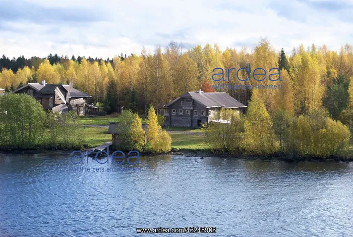 : Russia, Leningrad, Mandrogy, Svir River : Russia, Leningrad, Mandrogy, Svir River