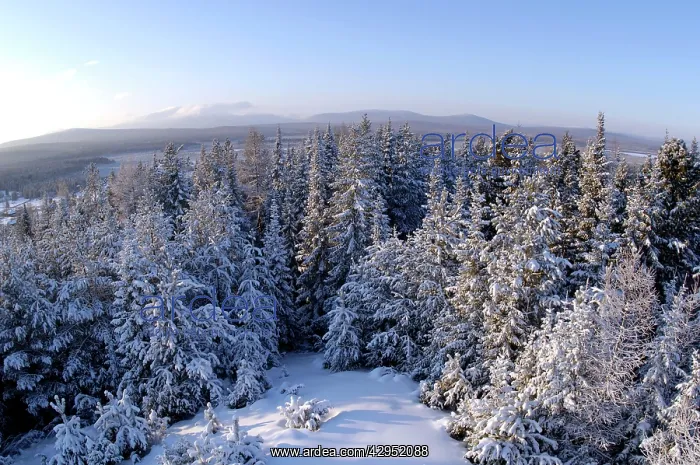: Russia; midwinter, December. The view is towards : Russia; midwinter, December. The view is towards