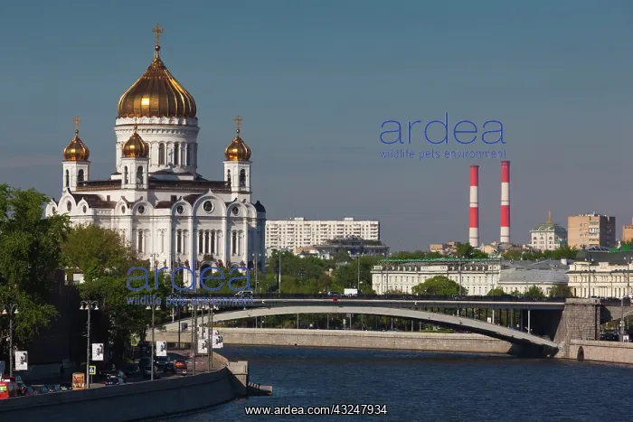: Russia, Moscow Oblast, Moscow, Khamovniki-area : Russia, Moscow Oblast, Moscow, Khamovniki-area