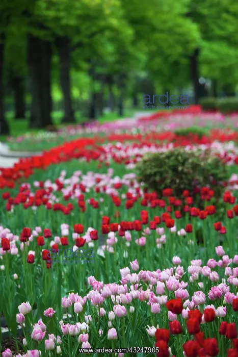 : Russia, Moscow Oblast, Moscow, Kremlin : Russia, Moscow Oblast, Moscow, Kremlin