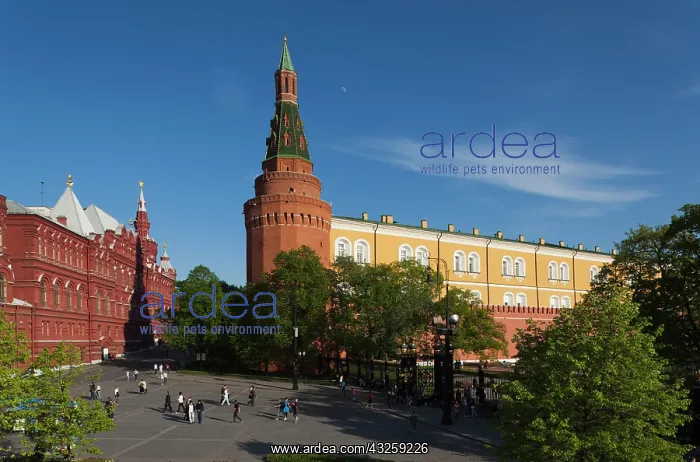 : Russia, Moscow Oblast, Moscow, Red Square : Russia, Moscow Oblast, Moscow, Red Square