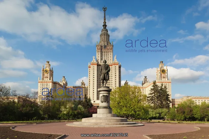 : Russia, Moscow Oblast, Moscow, Sparrow Hills-area : Russia, Moscow Oblast, Moscow, Sparrow Hills-area