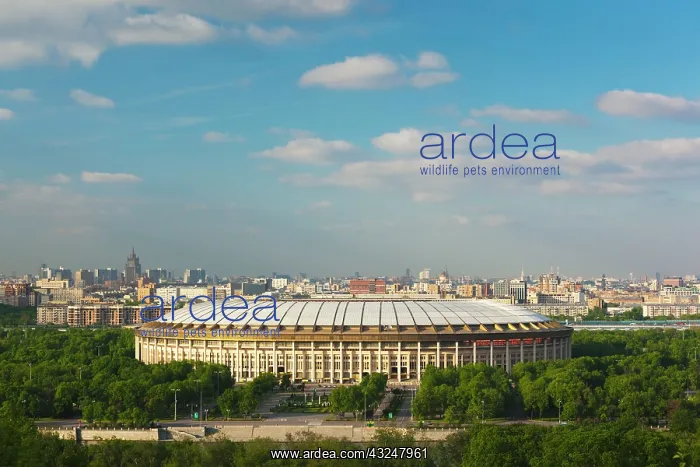 : Russia, Moscow Oblast, Moscow, Sparrow Hills-area : Russia, Moscow Oblast, Moscow, Sparrow Hills-area