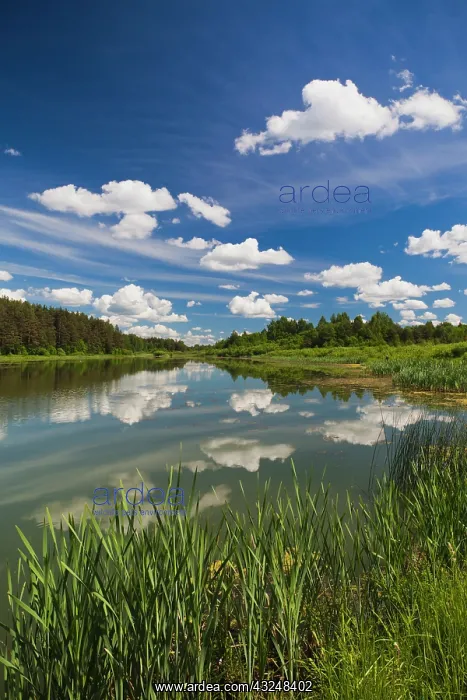 : Russia, Pskovskaya Oblast, Pushkinskie Gory : Russia, Pskovskaya Oblast, Pushkinskie Gory