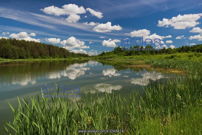 : Russia, Pskovskaya Oblast, Pushkinskie Gory : Russia, Pskovskaya Oblast, Pushkinskie Gory