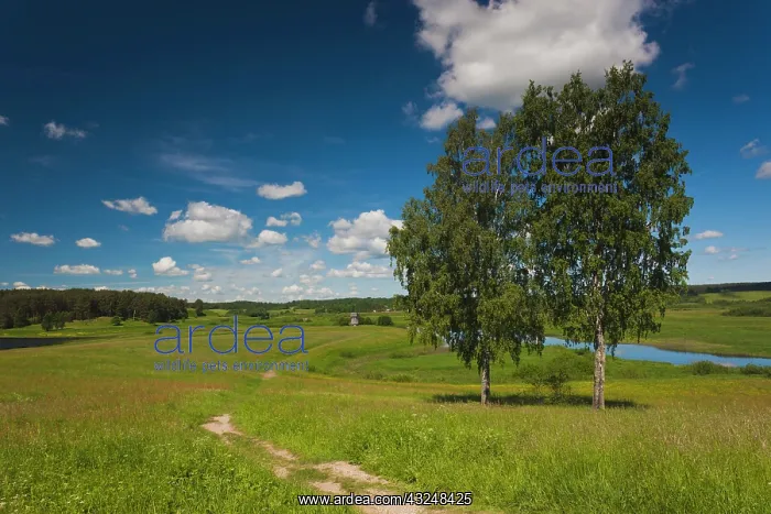 : Russia, Pskovskaya Oblast, Pushkinskie Gory : Russia, Pskovskaya Oblast, Pushkinskie Gory