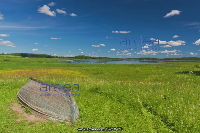 : Russia, Pskovskaya Oblast, Pushkinskie Gory : Russia, Pskovskaya Oblast, Pushkinskie Gory