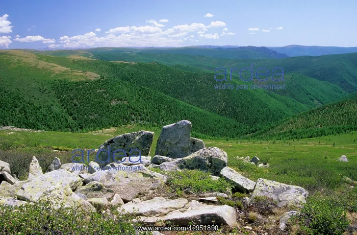 : Russia - rocks and tundra on a mountain plateau : Russia - rocks and tundra on a mountain plateau