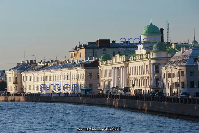 : Russia, Saint Petersburg, Center, buildings : Russia, Saint Petersburg, Center, buildings