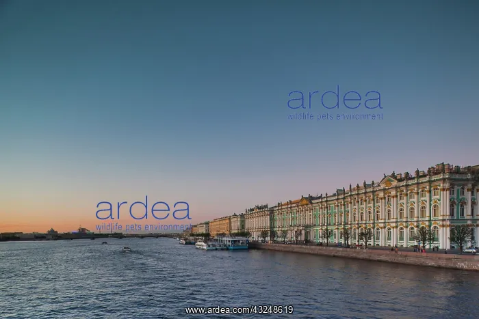 : Russia, Saint Petersburg, Center, Winter : Russia, Saint Petersburg, Center, Winter