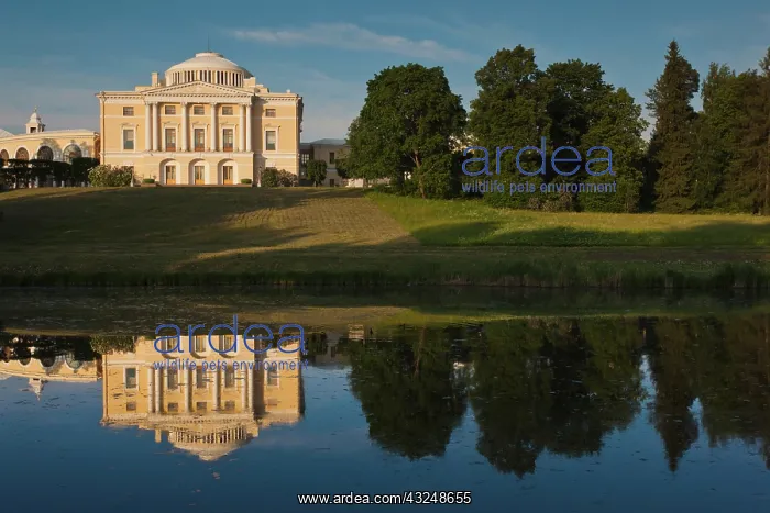 : Russia, Saint Petersburg, Pavlovsk, Great : Russia, Saint Petersburg, Pavlovsk, Great