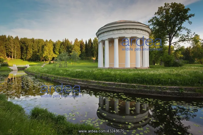 : Russia, Saint Petersburg, Pavlovsk, Great : Russia, Saint Petersburg, Pavlovsk, Great